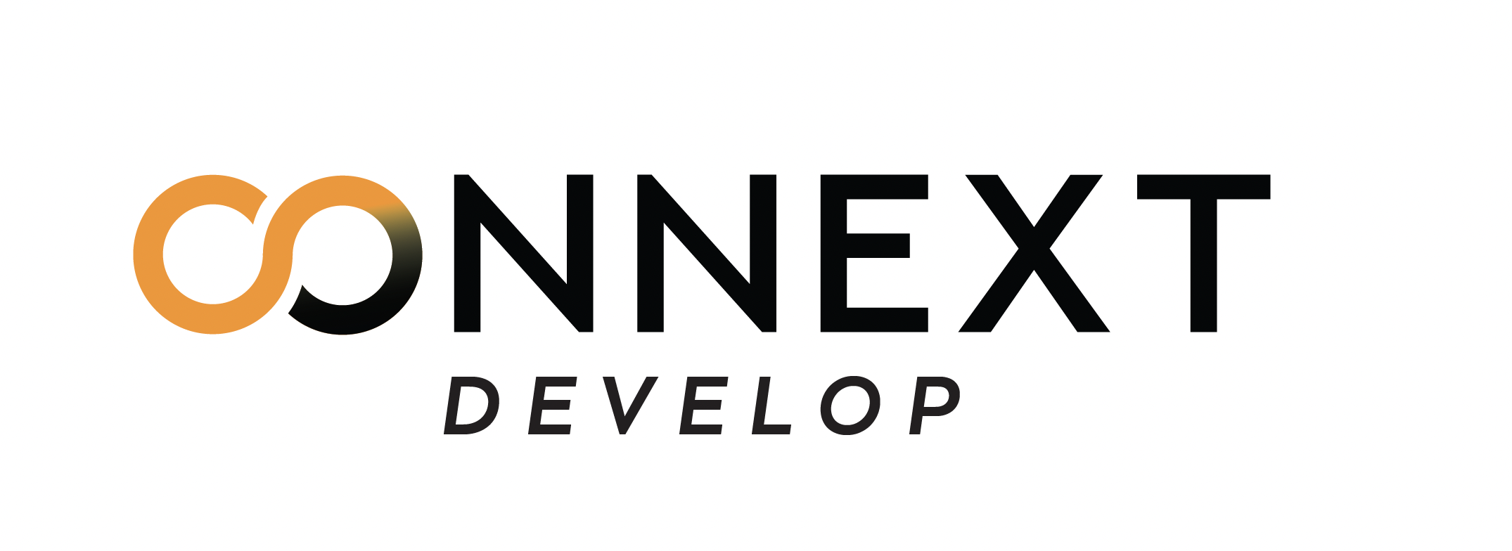 Connext Develop